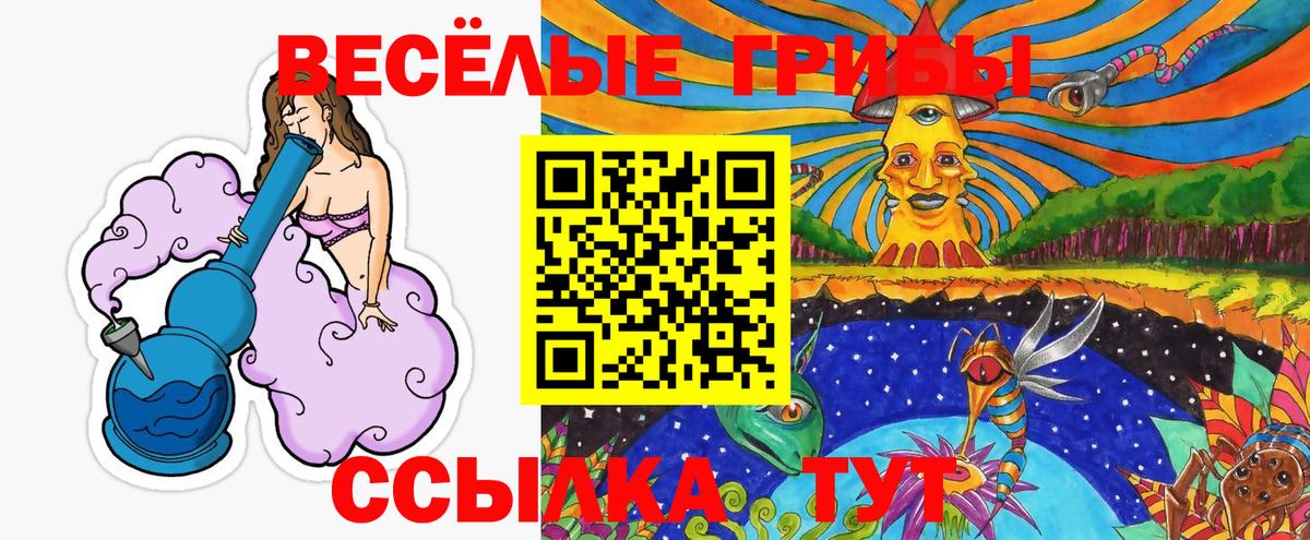 Славянск-на-Кубани  купить закладку  Вход с VPN  Галлюциногенные грибы мухоморы 
